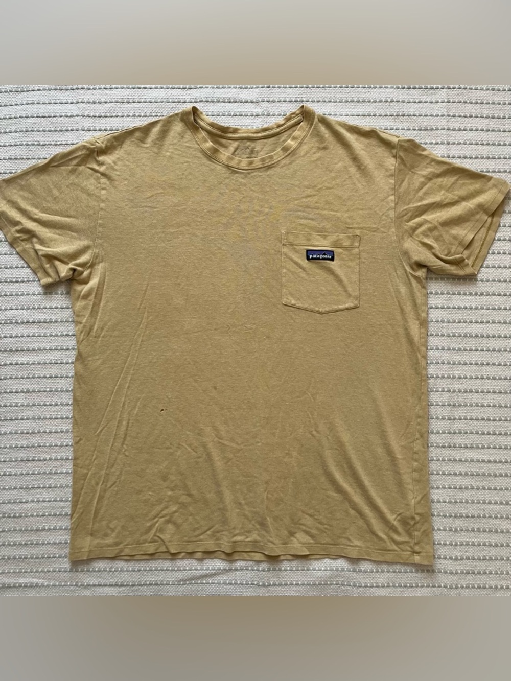 Patagonia Pocket t-shirt